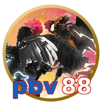 pbv88