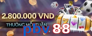 pbv88