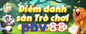 pbv88