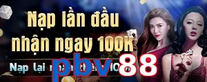pbv88