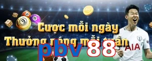 pbv88